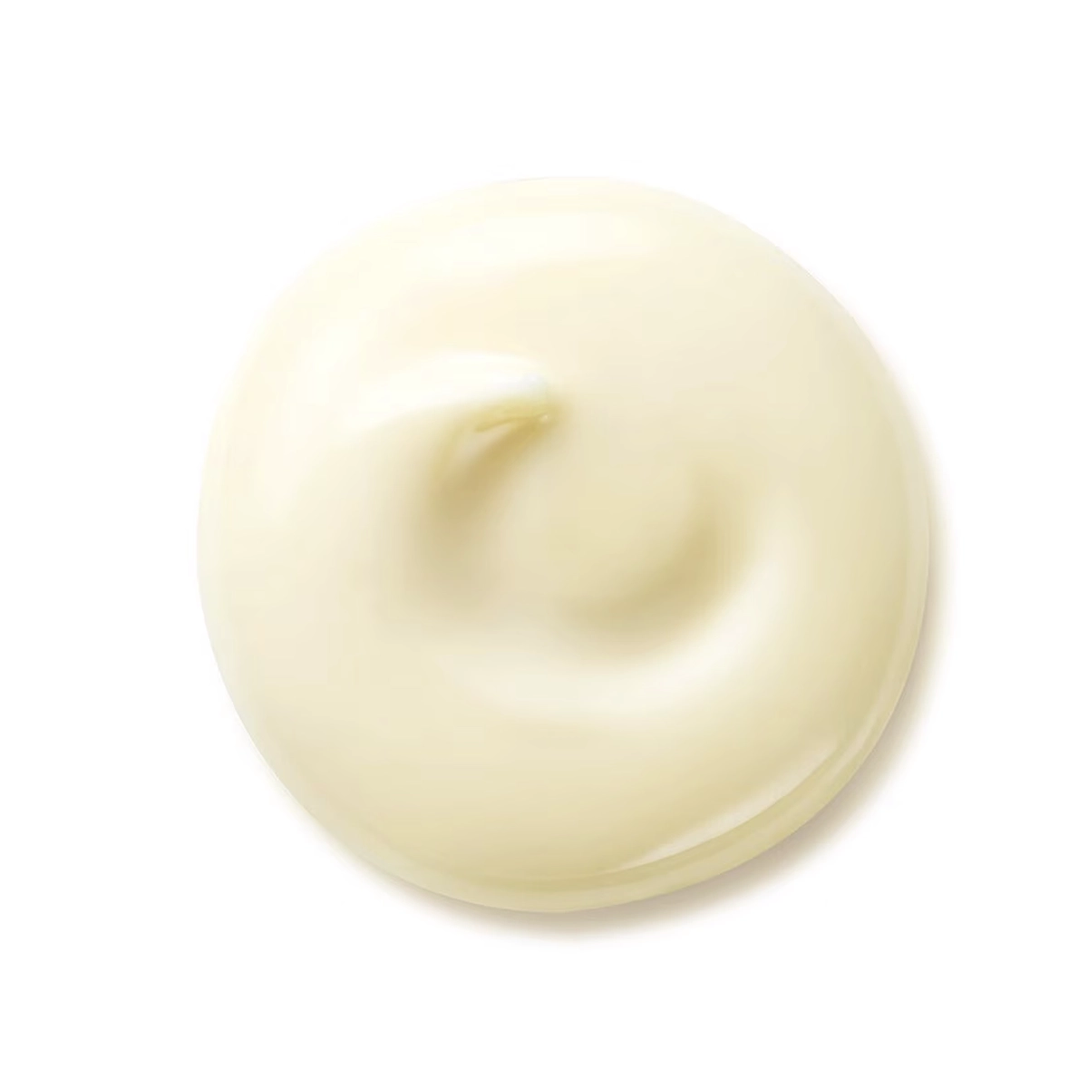 shiseido wrinkle smoothing day cream 2