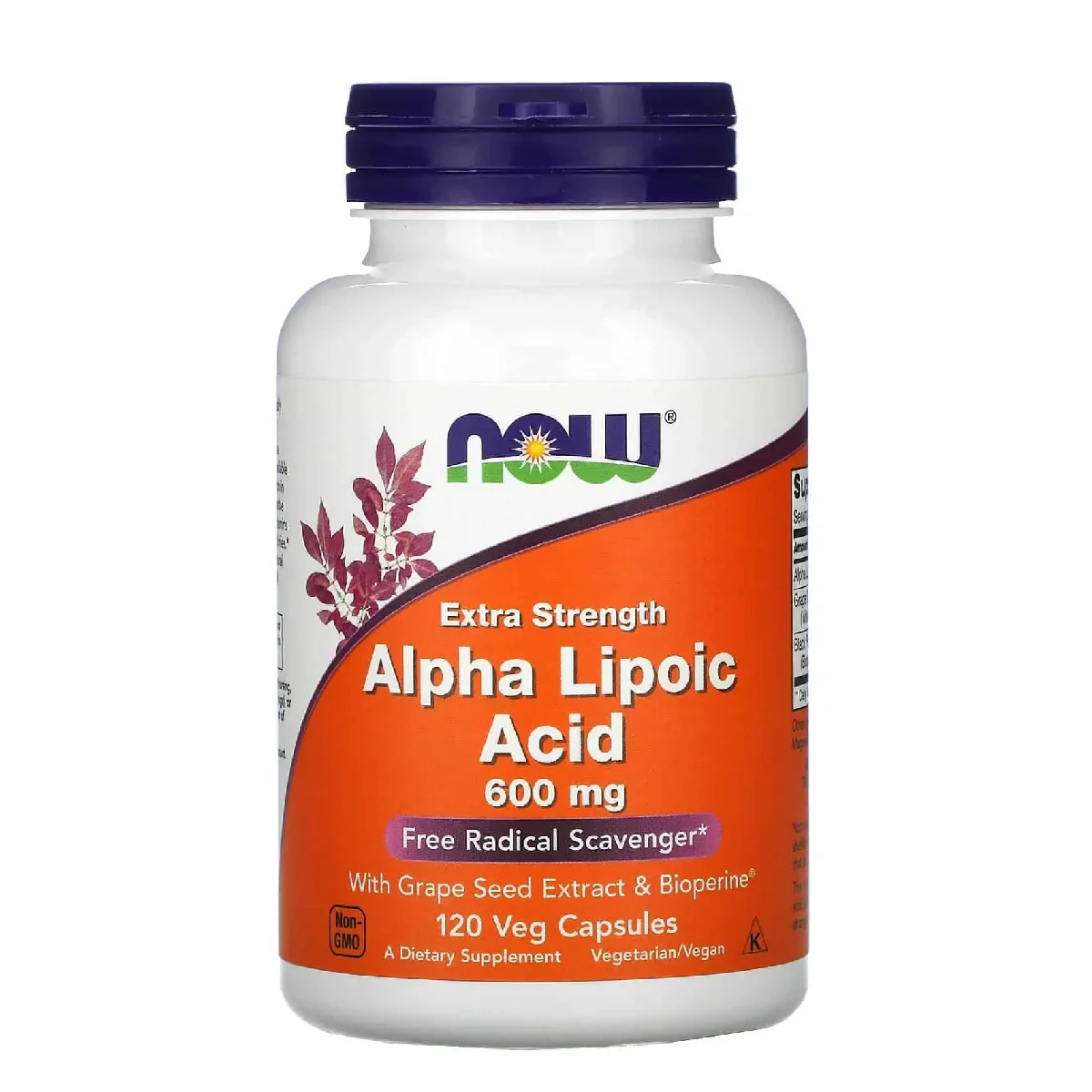 [733739030450] Now Alpha Lipoic Acid 600mg – 120 Veg Capsules | Antioxidant Support Supplement